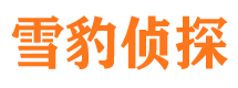 盐山寻人公司